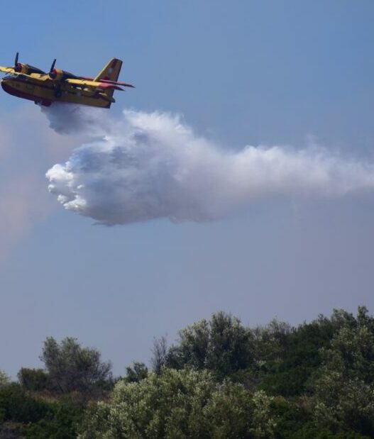 καναντερ 1024x666 1 e1753445184232