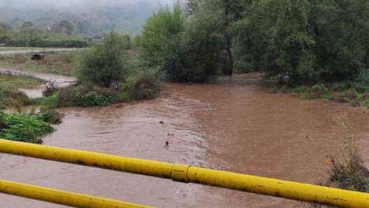 244512950 892163841439900 4588132836051123766 n