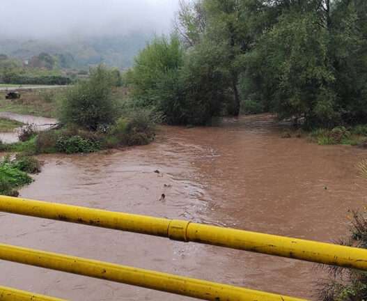 244512950 892163841439900 4588132836051123766 n