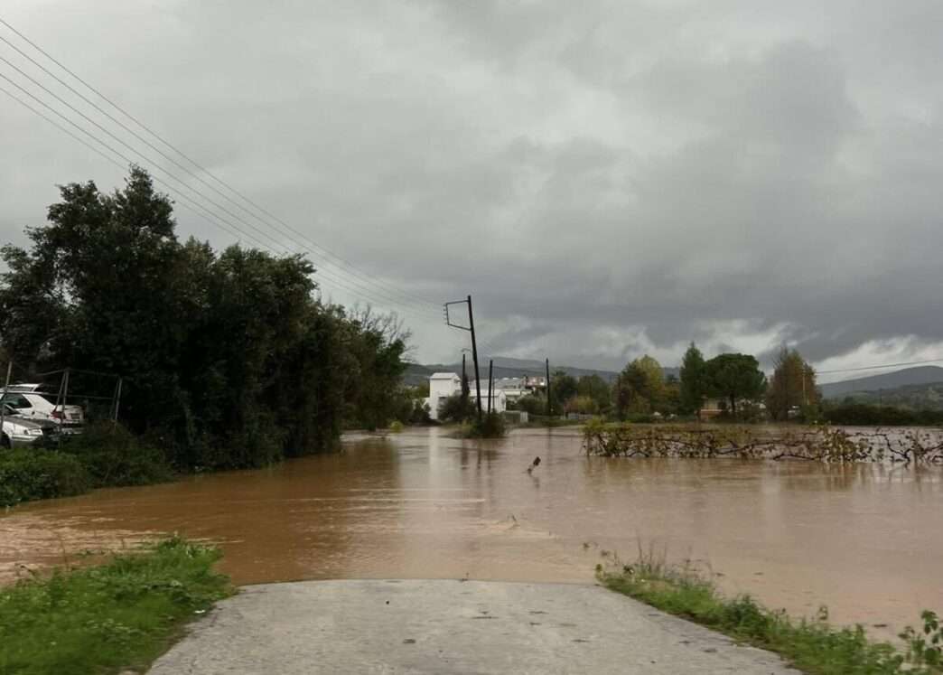 586018843 25224344307223690 150865689538230991 n