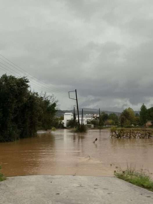 586018843 25224344307223690 150865689538230991 n