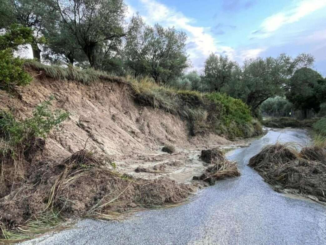 586257993 1861024514794384 4439618184696473826 n