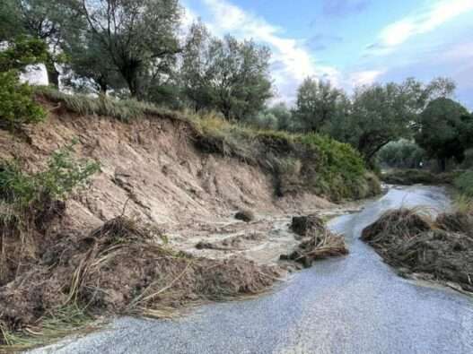 586257993 1861024514794384 4439618184696473826 n