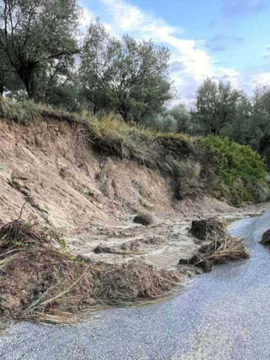 586257993 1861024514794384 4439618184696473826 n