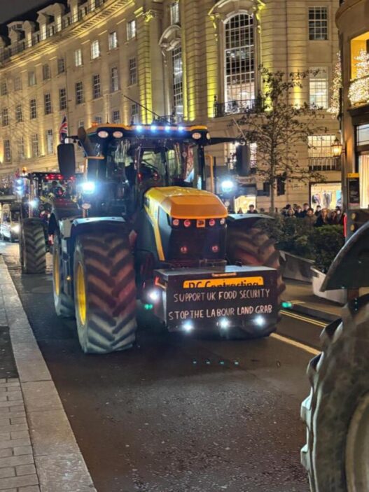 agrotes london 10 768x1024 1