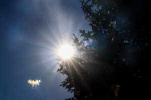 f1497259ea02905f1868ce625cc365e1 L