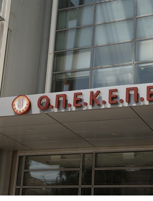 opekepe 1024x695 1