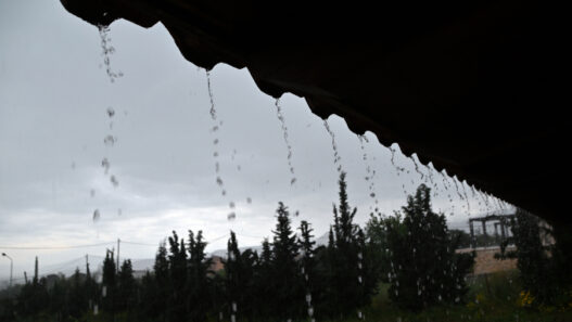 0d77b862a410c22453472a99be5911b1 L