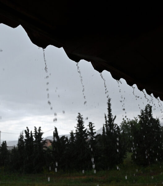 0d77b862a410c22453472a99be5911b1 L