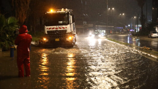 0f031dbbb24bd6bedc5115294690daa3 L