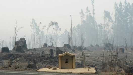 2026 01 19T235152Z 499137695 RC294JA88D7V RTRMADP 3 CHILE FIRE 1024x690 1