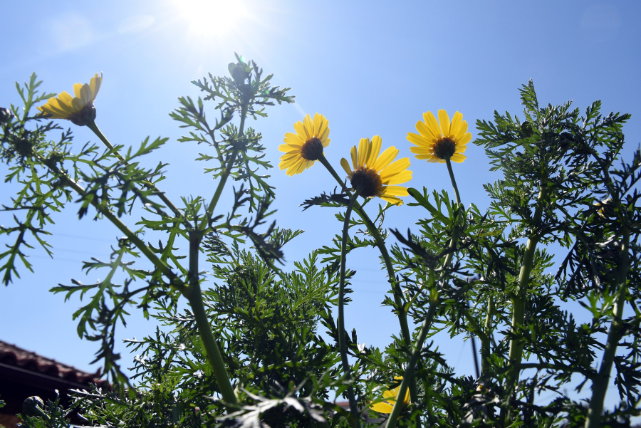 35b90282b639c58e9e75bca036eb8d59 L