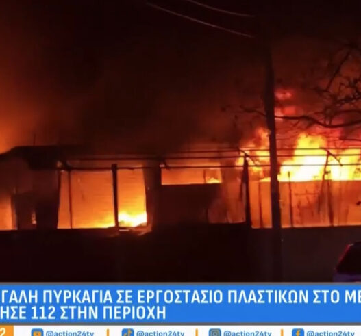 51e9fbd62899ca839e7e97e9b724a294 L