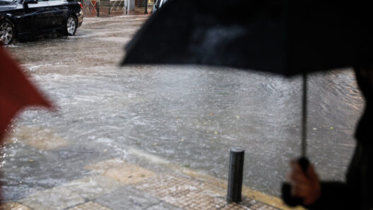 55e2aafa60b21b60f35e81abd640cb86 L