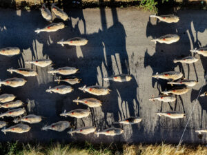 98784fb348e4ab103aa45c3e9aac4485 L