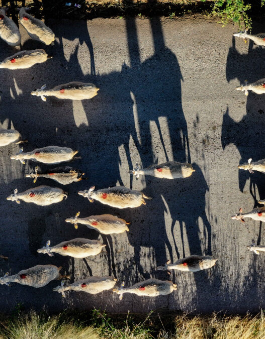 98784fb348e4ab103aa45c3e9aac4485 L