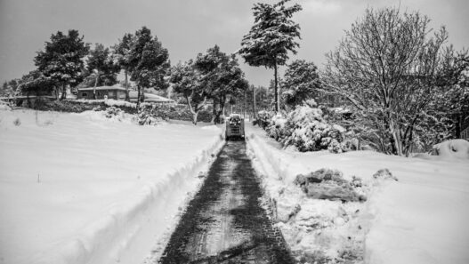 a0000e5ffeb9834552cc27d5f7ba0b39 L