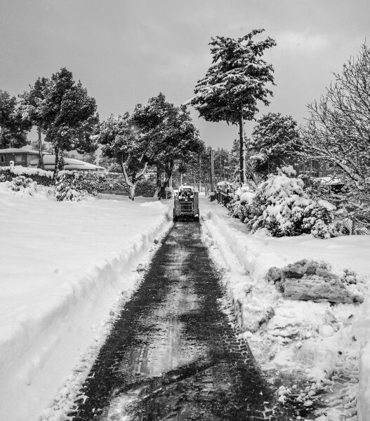 a0000e5ffeb9834552cc27d5f7ba0b39 L