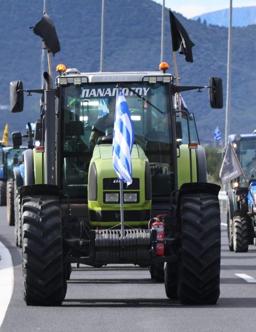 agrotes 10 1 1024x683 1