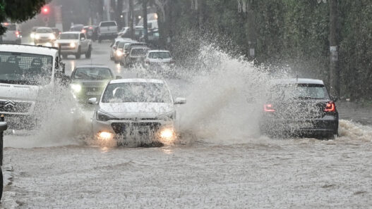 c51ab58fd59337979b51a733d85d3e60 L