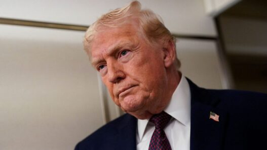 donald trump 7 1024x683 1