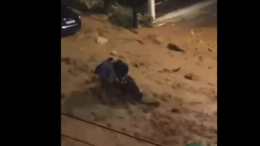 e3c575259259ddfbedb50a2ed46b02cf L