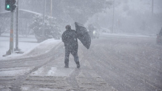 e65d5c5dfa3c62223b9d8c08e3f3d222 L