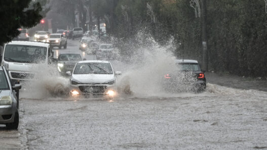 f4704ff7452fced763dbead985b3ab00 L