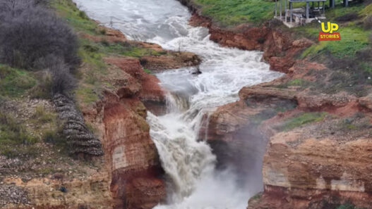 fbb9ab7062a20361a9019ca338f0669b L