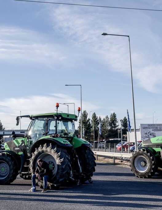 nikaia agrotes 1024x683 1