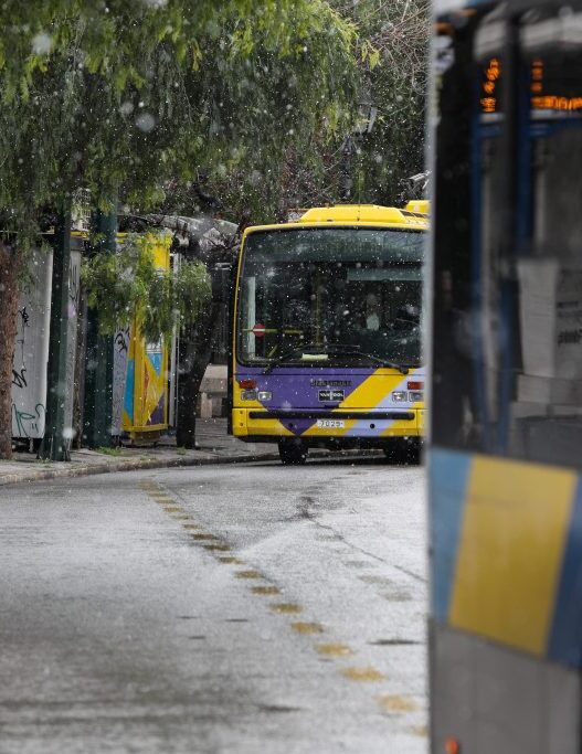 trolei bus 1024x683 1