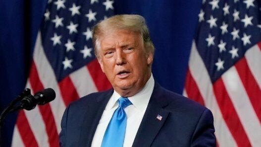 w11 180013Trumpw24214337w2083504w2263238