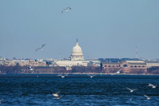 2026 02 16T213559Z 104747941 RC25NIAV07OL RTRMADP 5 USA TRUMP POTOMAC 1024x683 1