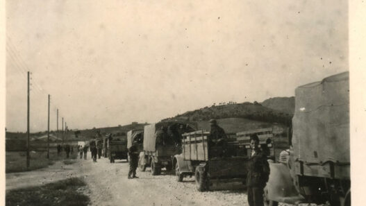 8f9b9153c000d6459f9a7fa68070f070 L