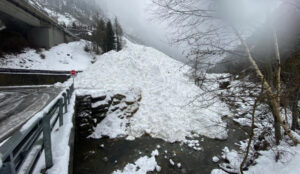 Screenshot 2026 02 16 101201