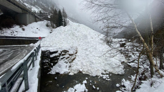 Screenshot 2026 02 16 101201