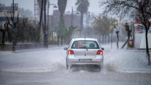 bcb6a4fdc5501aa5058bbd9c6932b535 L