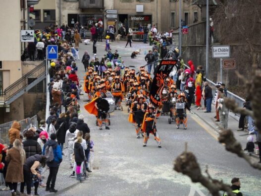 elvetia atyxima 1024x768 1