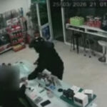 0ff890bd51adab9c7bc8c4ccd9338604 L