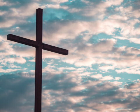 10e2f005ef83b91e1ca4298edf936d55 L