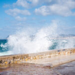 1bbf54ee9ef92762648cf155e067b786 L