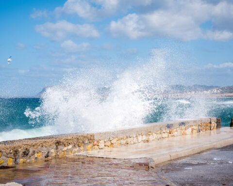 1bbf54ee9ef92762648cf155e067b786 L