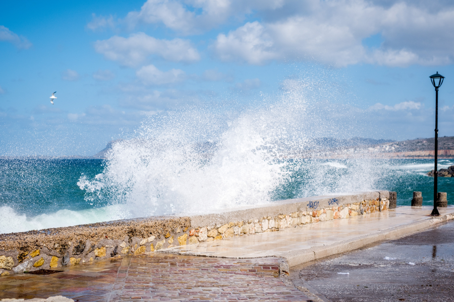 1bbf54ee9ef92762648cf155e067b786 L