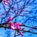 38704e11dd971deebf9ed157dd55b5a0 L