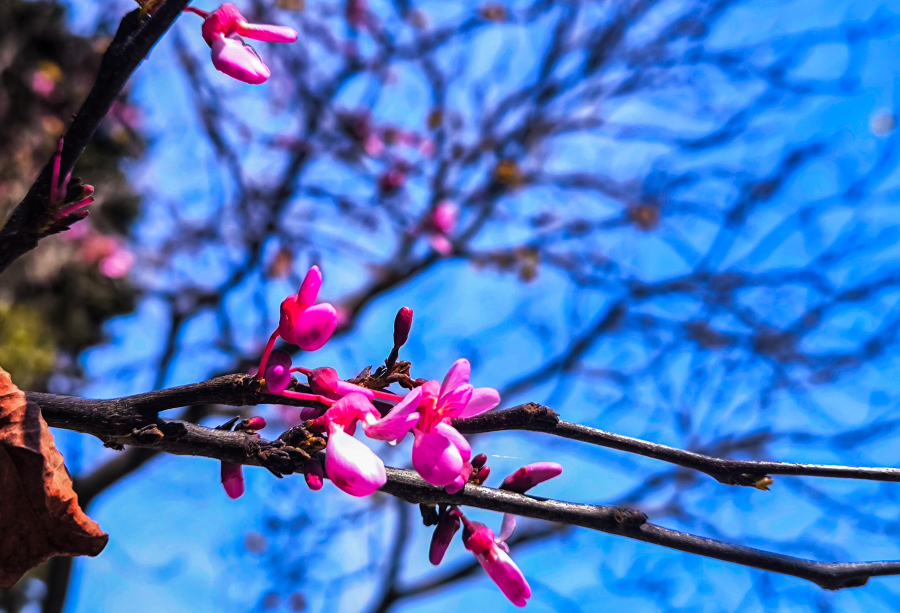 38704e11dd971deebf9ed157dd55b5a0 L