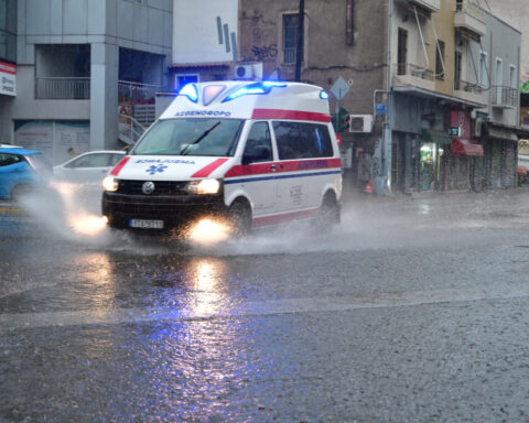 924984800cff99fcb03c859cbe3a9c17 L