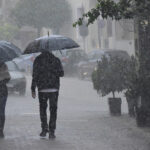 a2d4c1f450fc4a229d8436a524bba6f6 L