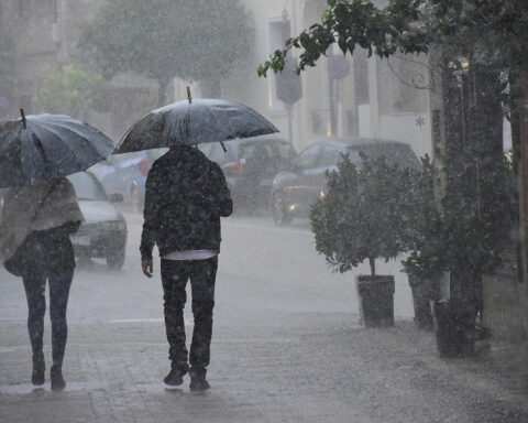 a2d4c1f450fc4a229d8436a524bba6f6 L