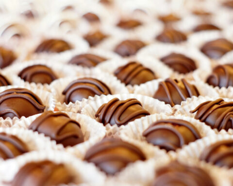 c910e734093ee1f11421cac293956076 L