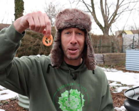 d77092305a978f7459630cc752250eed L